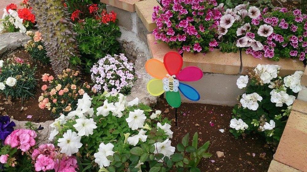Il Mirto E La Rosa Bed & Breakfast Arenella  Luaran gambar