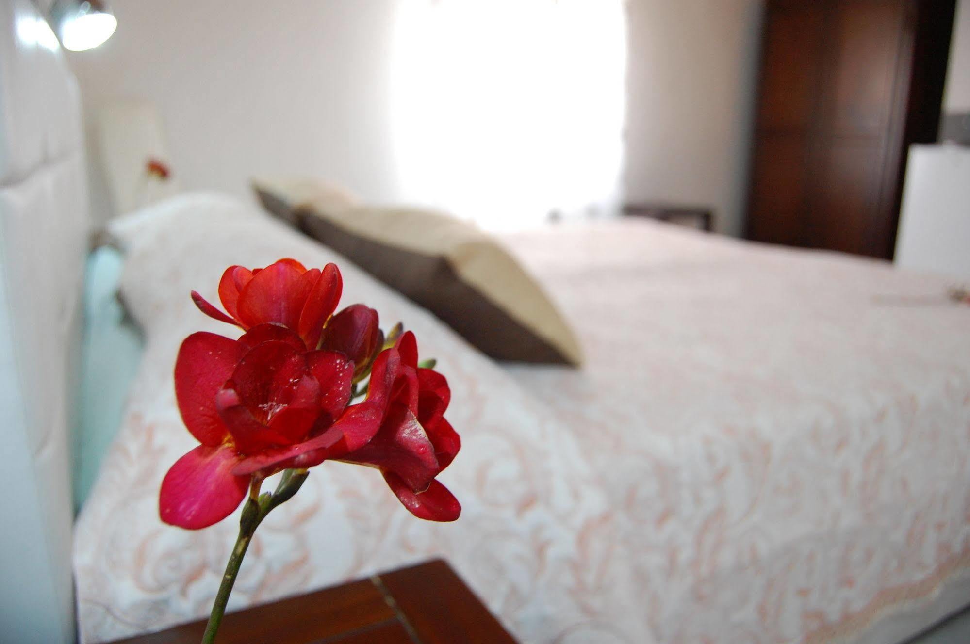 Il Mirto E La Rosa Bed & Breakfast Arenella  Luaran gambar